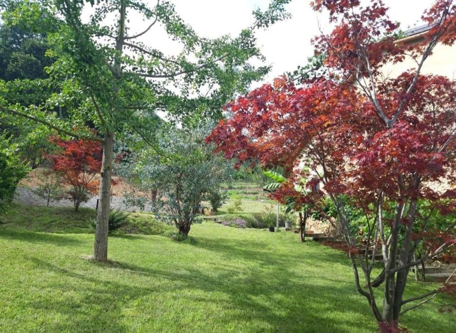 Istanti - Salvia Daire Costigliole Saluzzo Dış mekan fotoğraf