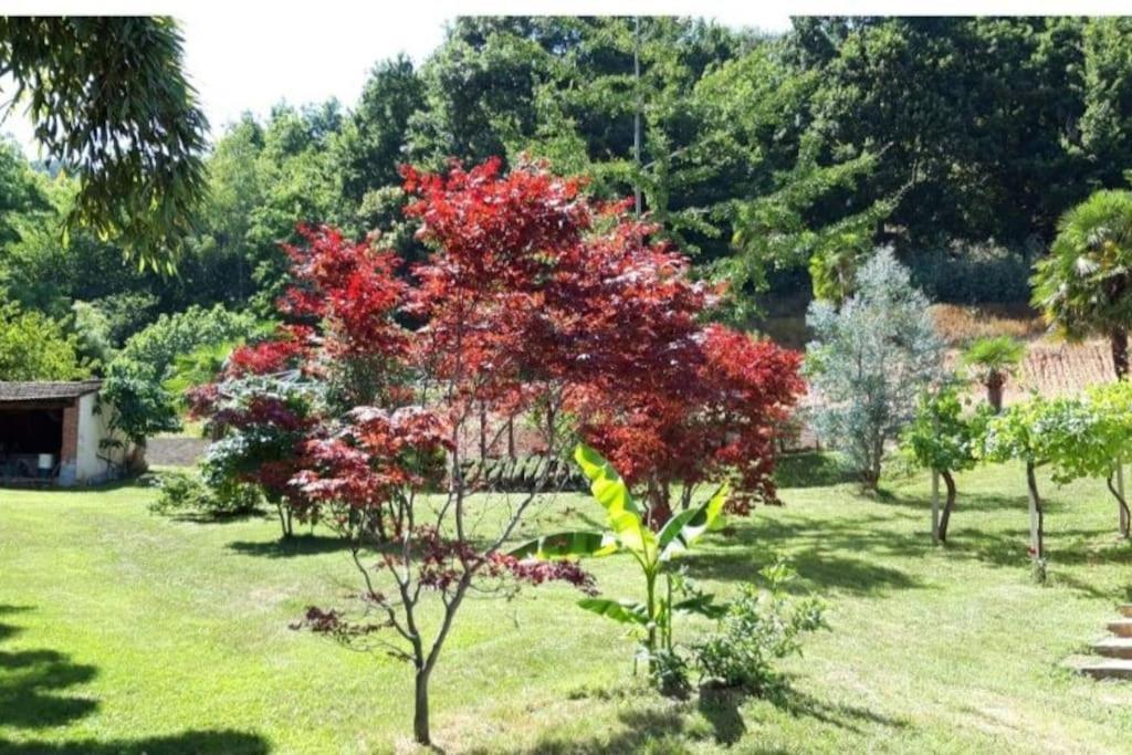 Istanti - Salvia Daire Costigliole Saluzzo Dış mekan fotoğraf