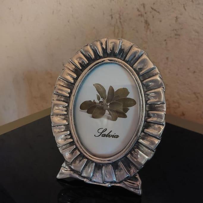Istanti - Salvia Daire Costigliole Saluzzo Dış mekan fotoğraf
